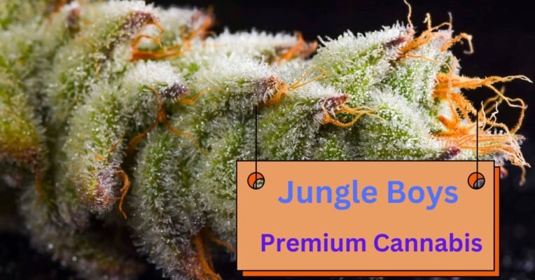 Jungle Boys .Jungle Boys Premium Cannabis