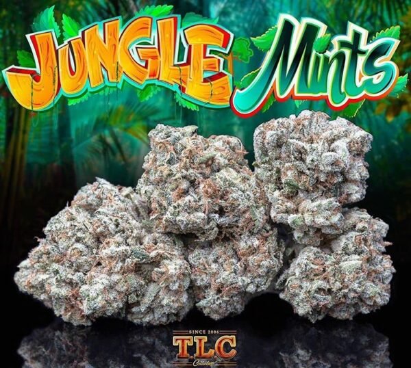 Jungle Mints